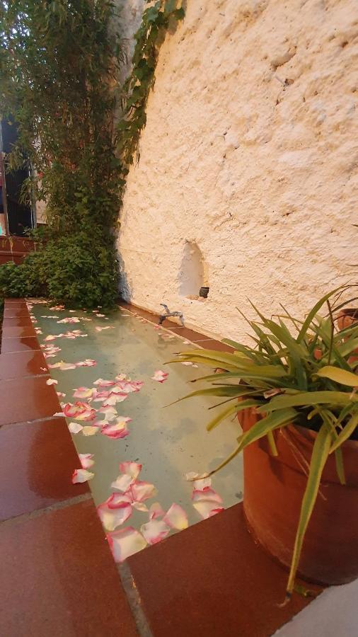 Casa Bambu Lejlighed Granada Eksteriør billede