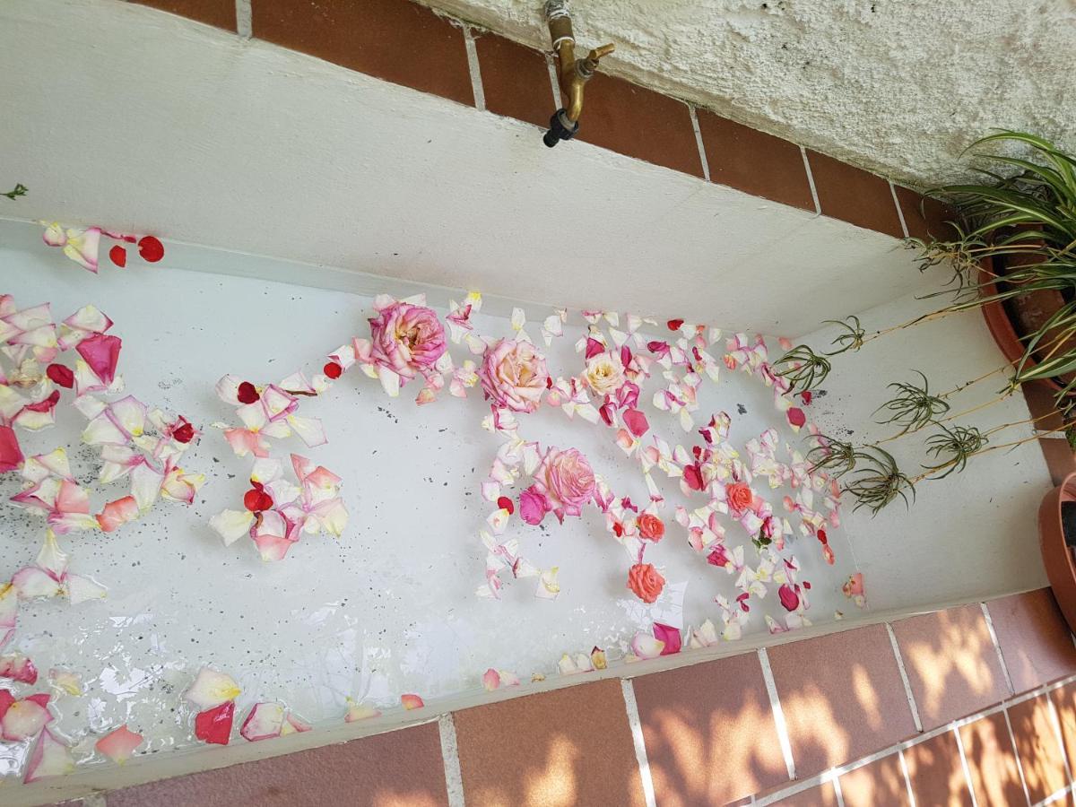 Casa Bambu Lejlighed Granada Eksteriør billede